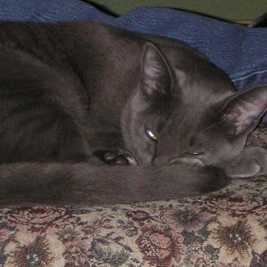 Meet your Posher, Jean